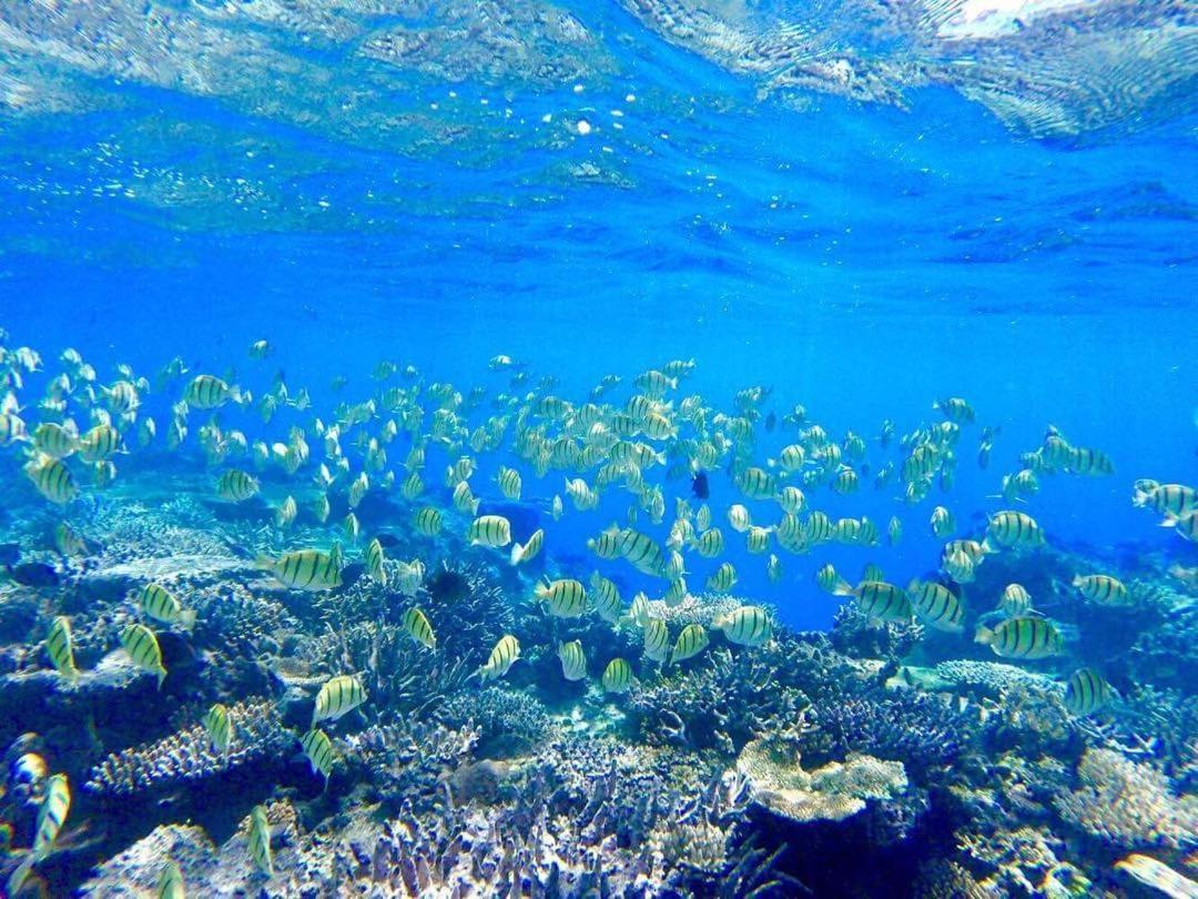 Korovou Eco Lodge Naviti Island Ngoại thất bức ảnh